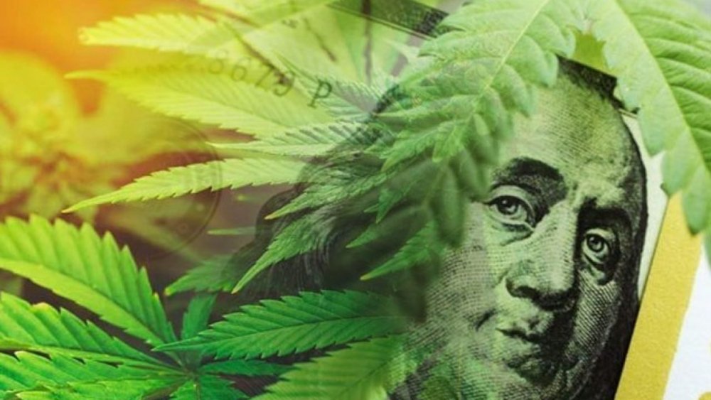 cannabis-sales-bosov.jpg