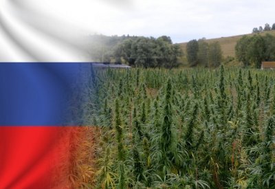 cannabis-teen-use-russia.jpg