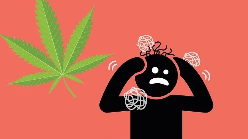 cannabis-use-schizophrenia.jpg