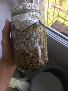 image.thumb.png.2d5fe9f398c825731658aaab8e082c1e.png