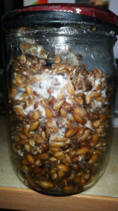 image.thumb.png.758999e000a8772b9993f3009f0de24b.png