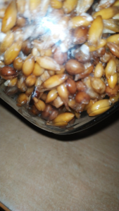 image.thumb.png.ae64d136b9b118a6cf88ae088f945daf.png