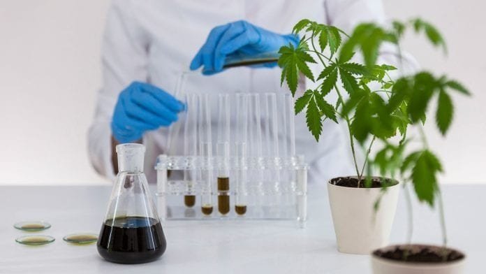 israel-cannabis-testing.jpg