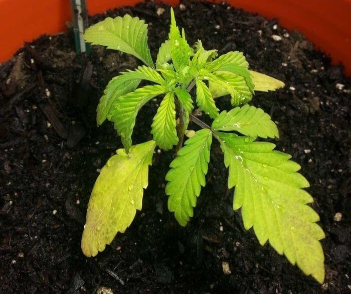 05.jpg