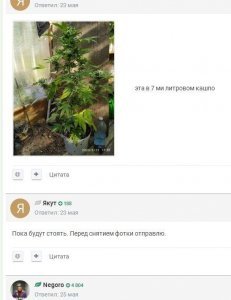 128976273_11.thumb.JPG.73bf7dbf0399bba9f9e39c89af7b9b20.JPG