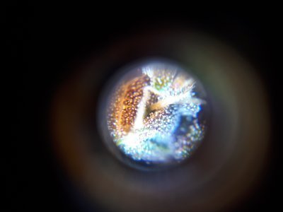 20200603_201625.jpg