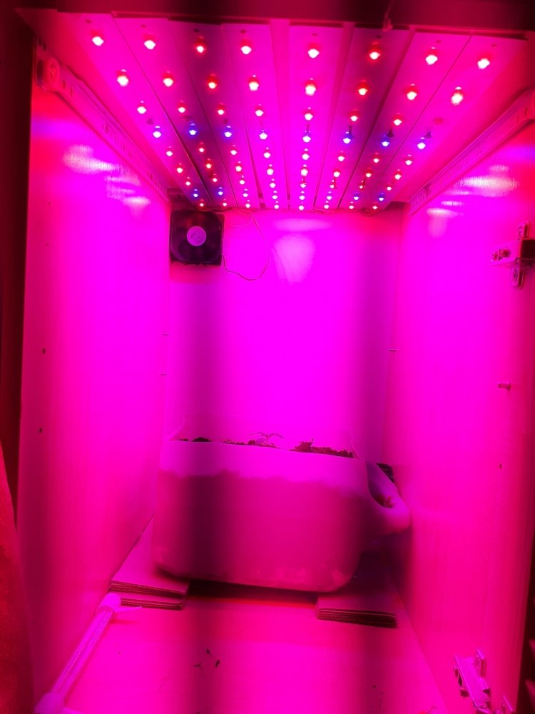 20200618_181818.jpg