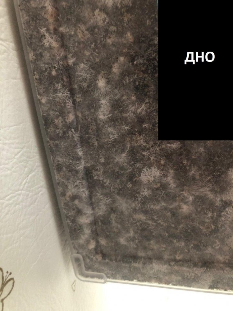 3.thumb.jpg.3bf05d104ef56ce40d9500aaba36c535.jpg