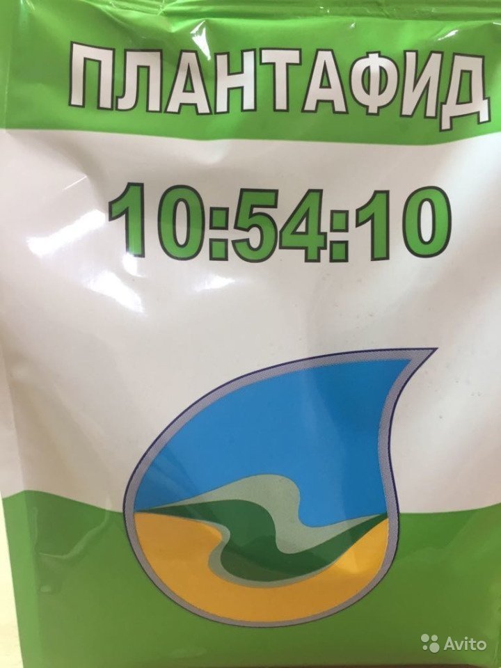 5638440333.jpg