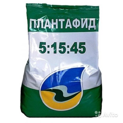 5638441438.jpg