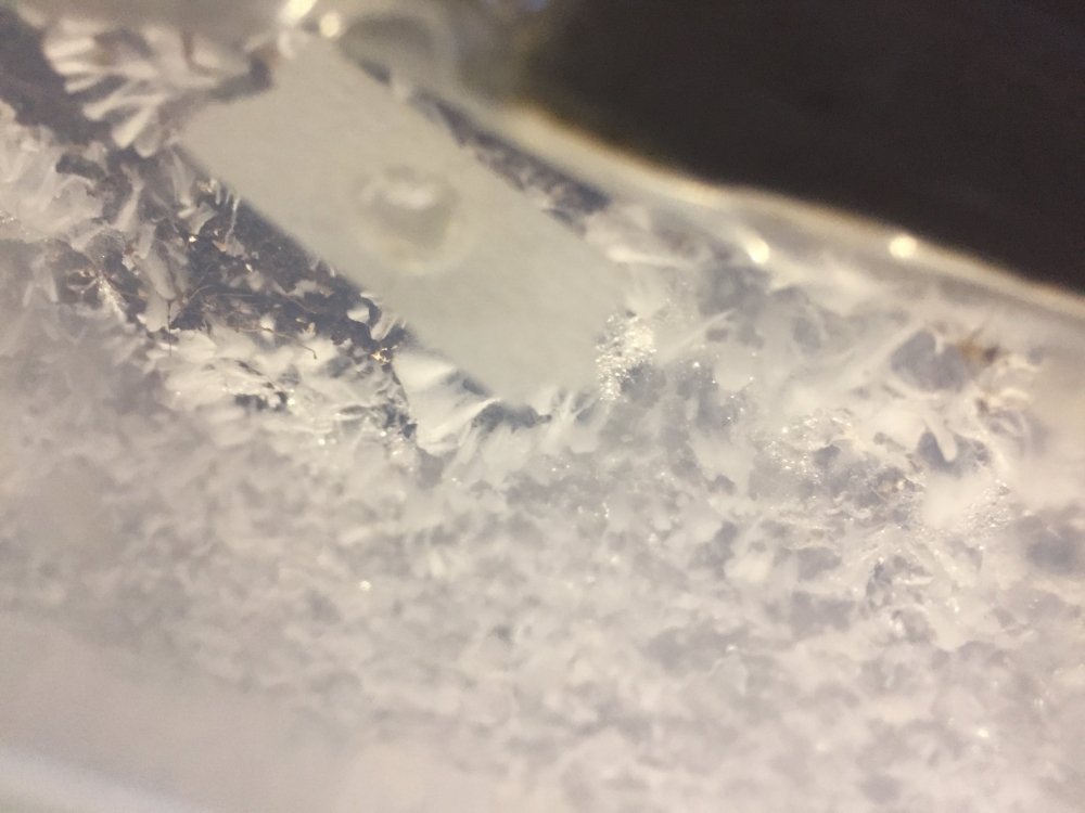 5EB05327-5011-4038-B6D9-8A0D2FD45D07.jpeg