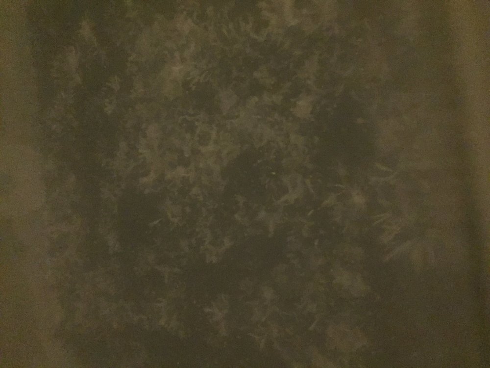 84365E73-5FB8-43D1-8F1E-7B4E9B551446.jpeg