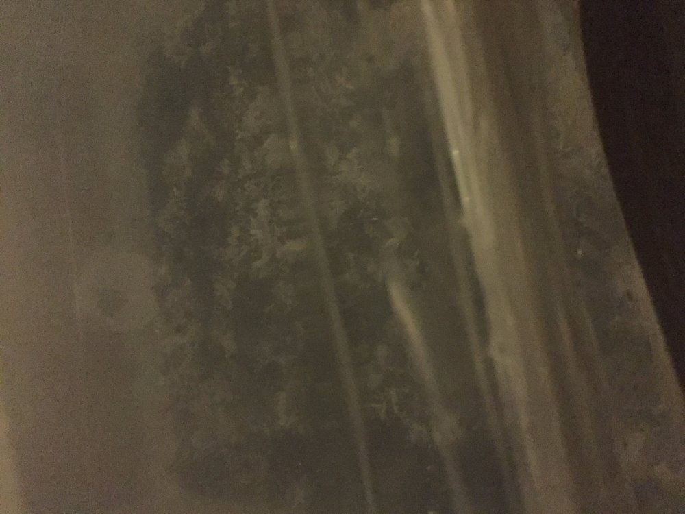 90268235-59E6-420E-B20D-FB362F84C300.jpeg