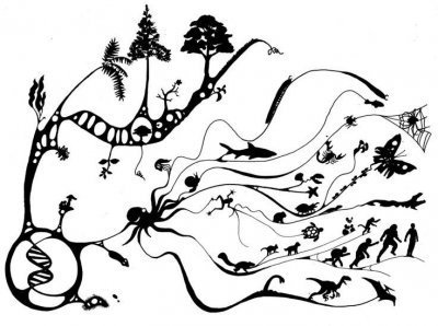 Tree-of-Life.thumb.jpg.4d3258c79dc591d6e2ec1e431458abc3.jpg