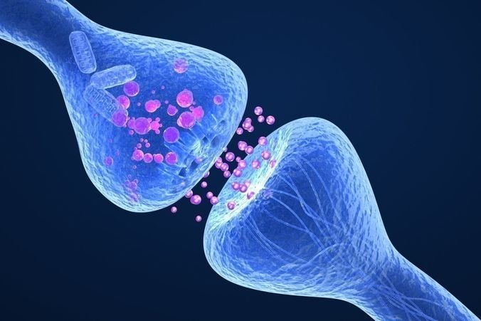 cannabinoid-receptor-active.jpg