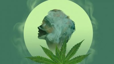 cannabis-brain-effect.jpg