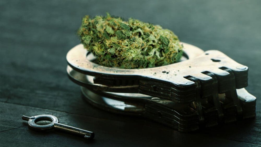 cannabis-free-nevada(1).jpg