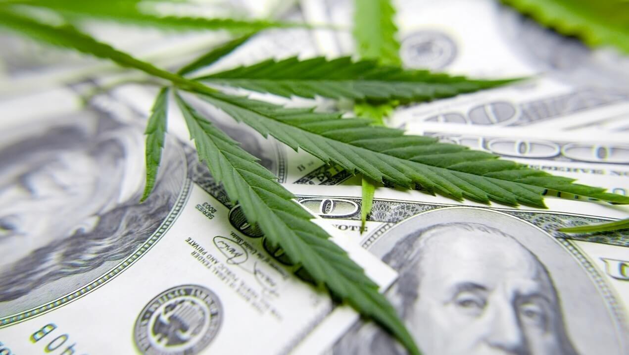 Конопля доллар как вырастить куст марихуаны