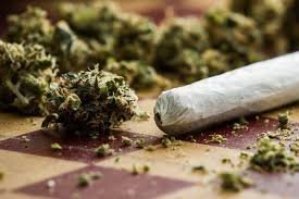 cannabis-joint-refuse.jpg