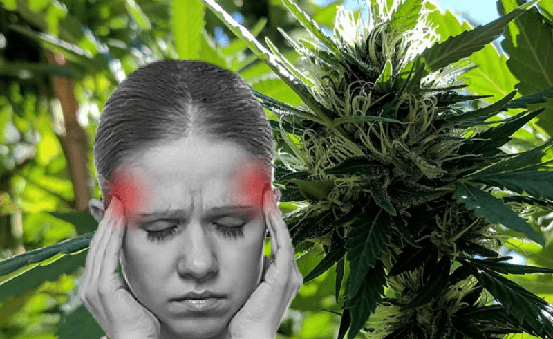 Помогает ли марихуана от мигрени курение марихуаны при неврозе