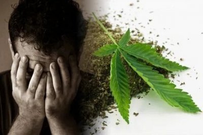 cannabis-use-disorder.jpg