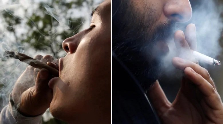 cannabis-vs-tobacco-smoking.jpg