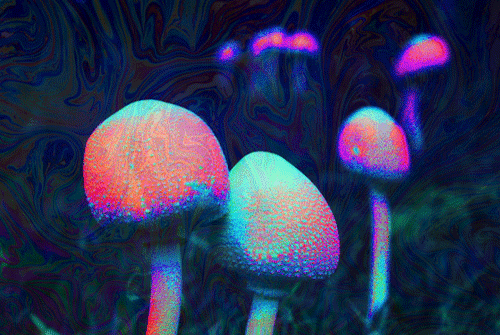 d3428946b7d419b7cfb2f8a6424c3c60.thumb.gif.a22c061511b1f20d43b9876ff19d763d.gif