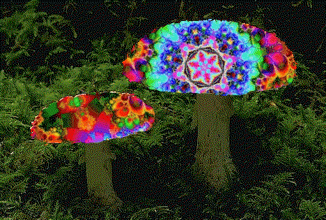 source.thumb.gif.e4df6144eae42bf127b156bf494931d4.gif