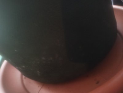 tFSNVue69ho.jpg