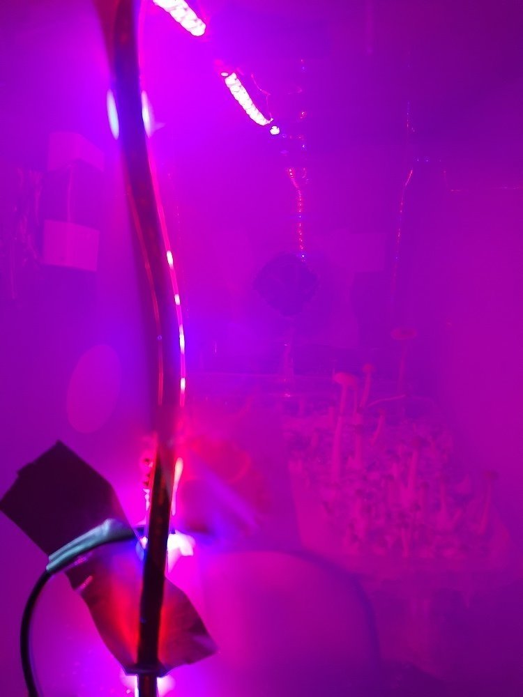 20200729_201437.jpg