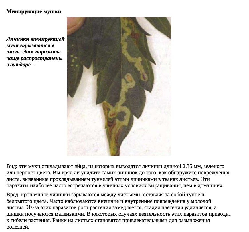 Снимок экрана 2020-07-14 в 01.58.41.png