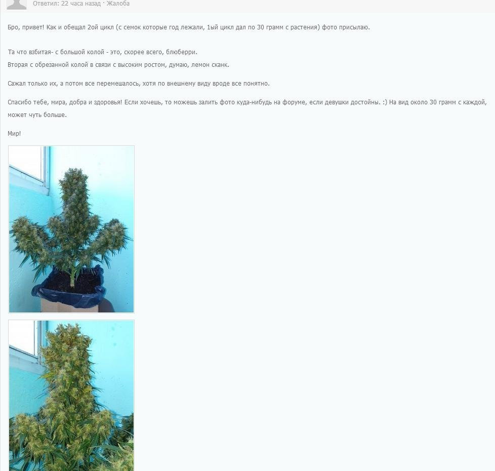 555156422_22.thumb.JPG.9b90444e3a2247f56d6516dfbe51dacd.JPG