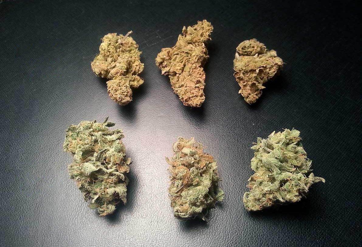 марихуану семена