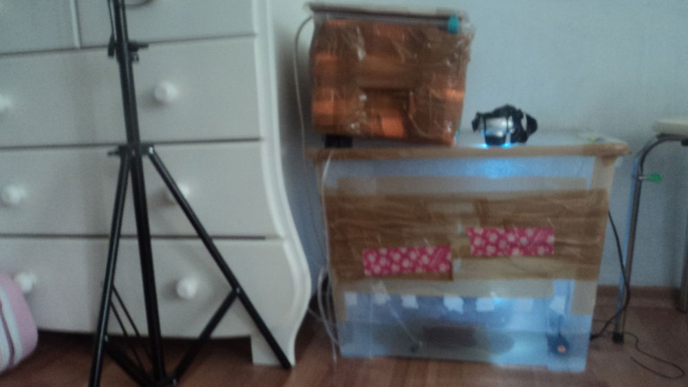 DSC00127.thumb.JPG.7b0539eb138ef2e4897b518afd1e5f5a.JPG