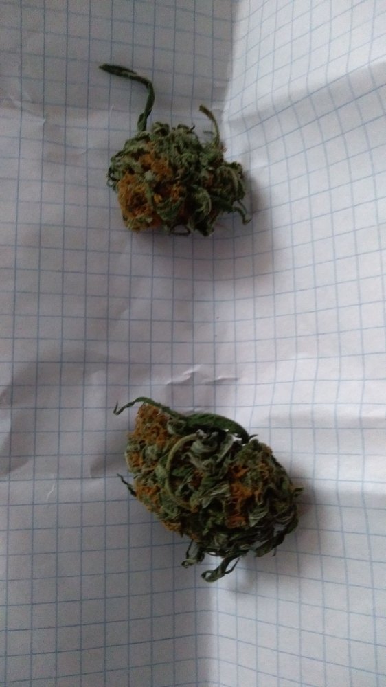 IMG-20191207-WA0001.jpeg