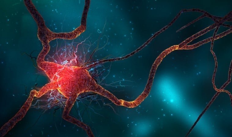 ayahuasca-brain.jpg