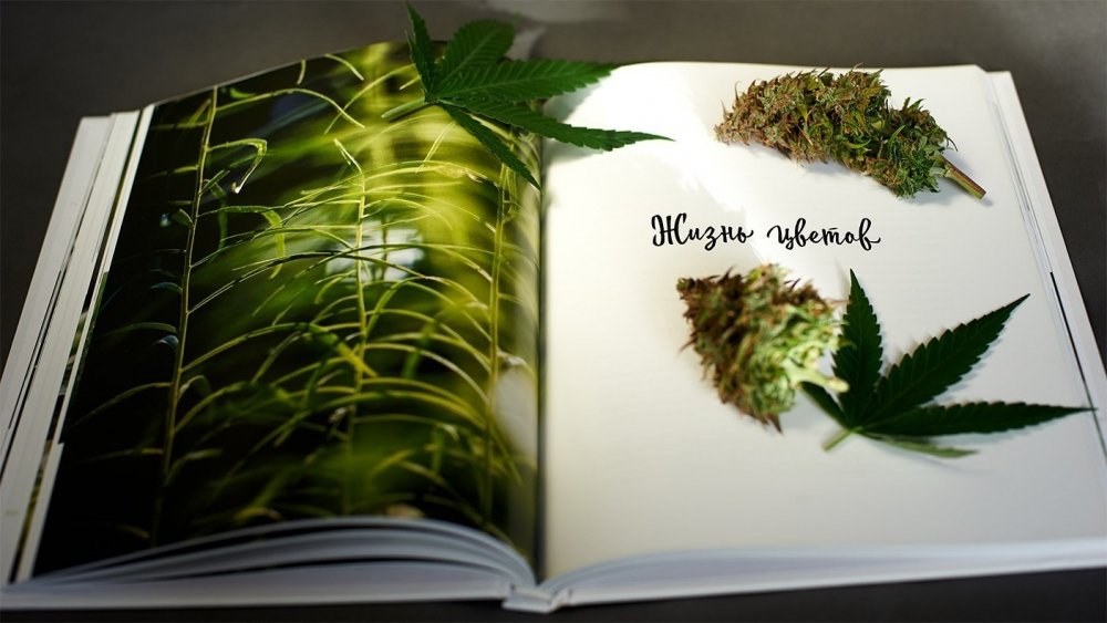 book-04.jpg