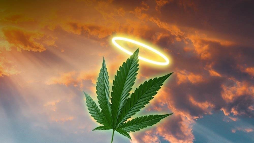 cannabis-acceptable(1).jpg