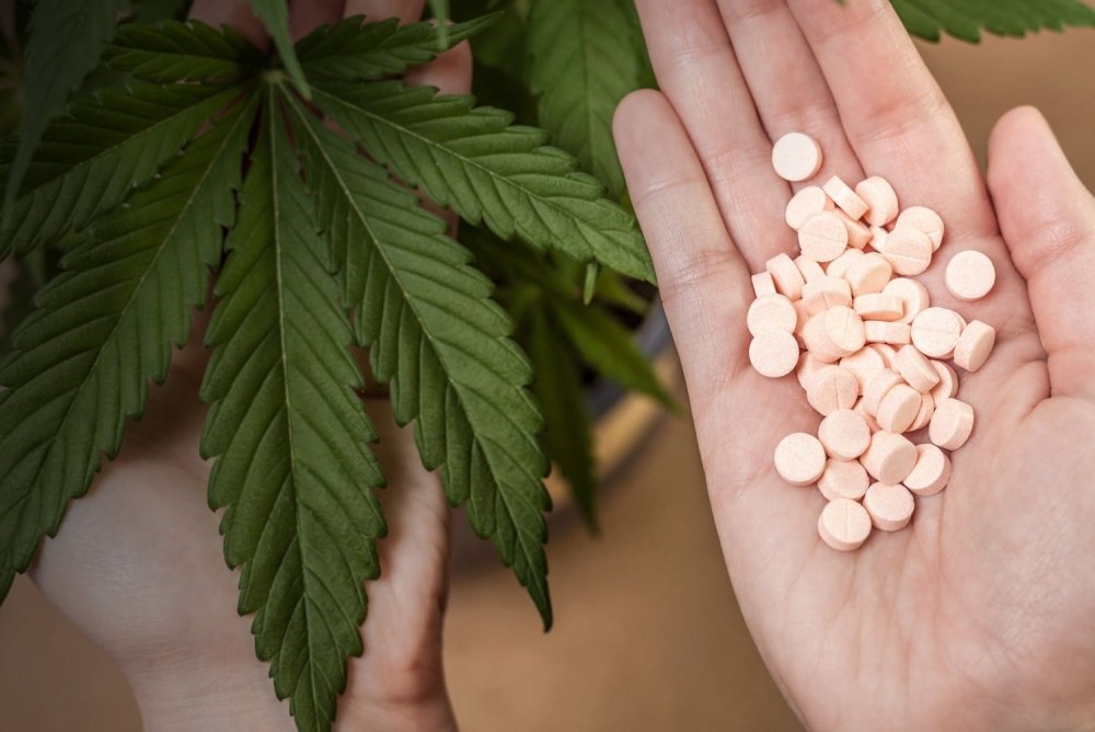 cannabis-against-opioids.jpg
