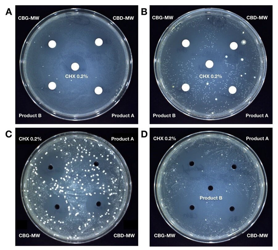 cannabis-bacteria-kill(1).png