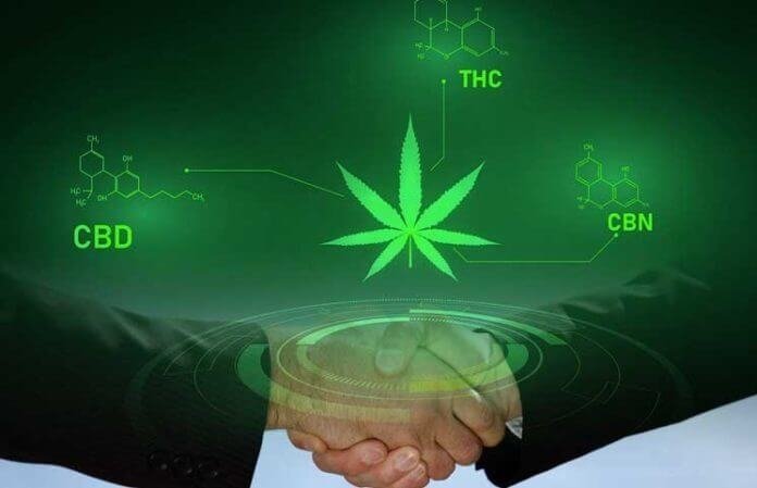 cannabis-blockchain-work(1).jpg