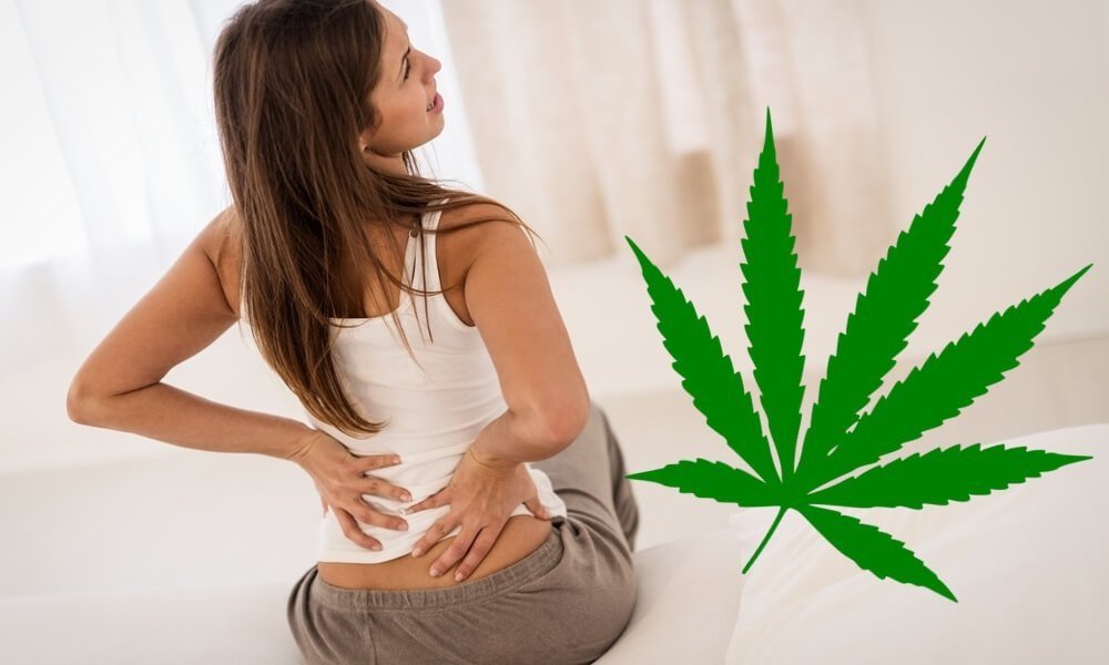 cannabis-pain-decrease(1).jpg