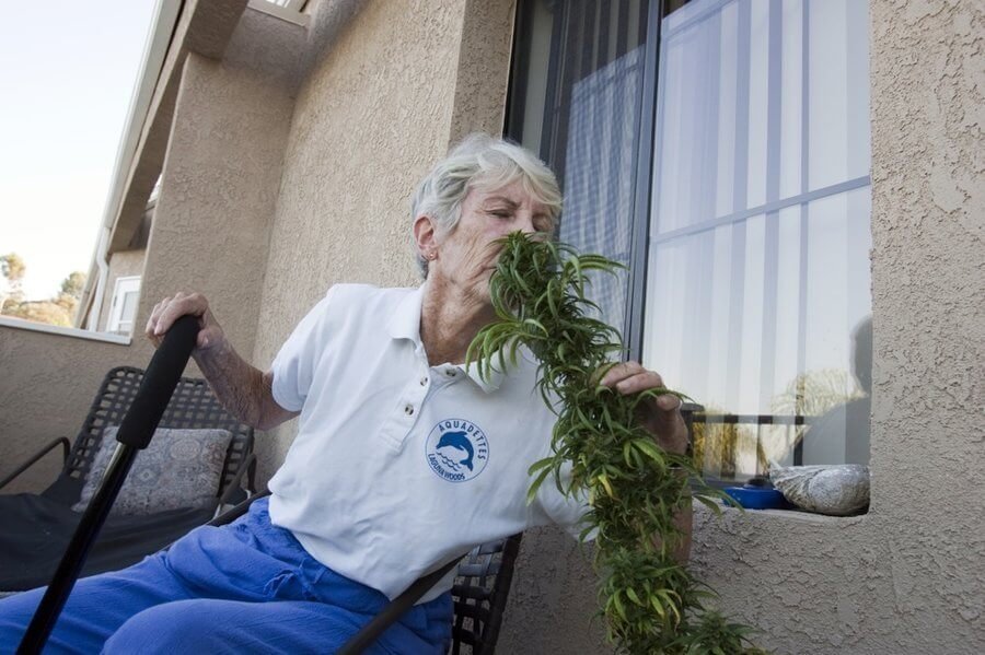 cannabis-seniors(1).jpg