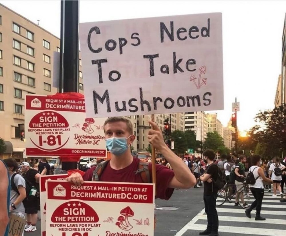 decriminalize-nature-activist.jpg
