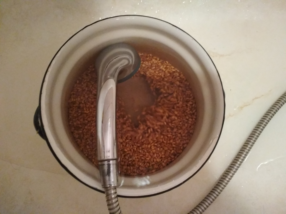 image.thumb.png.d67ef3a7f2a0d7403cf193d006f794f5.png