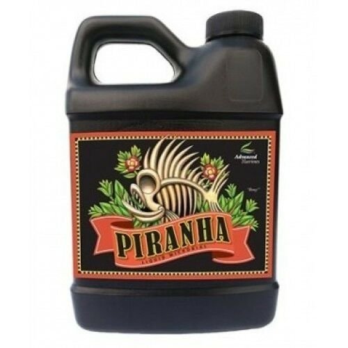 piranha.jpg