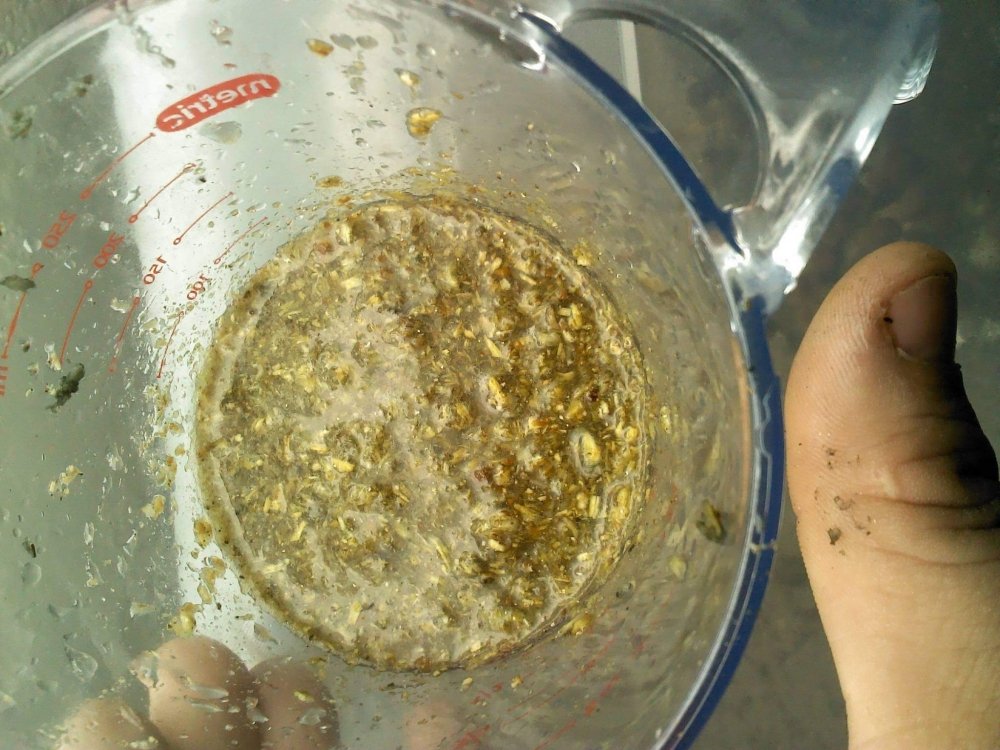 psilocybin-with-lemon(1).jpg