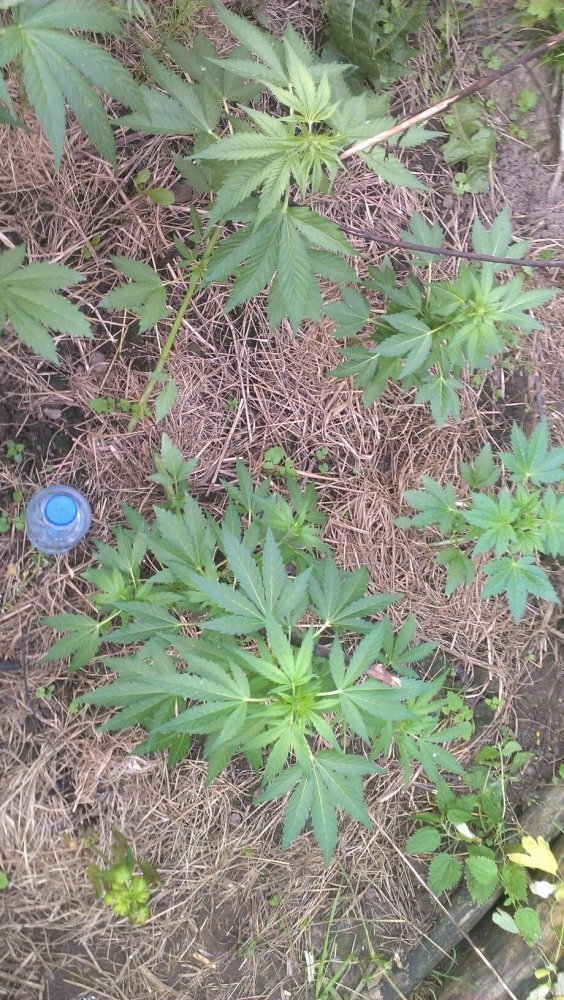 tmp-cam-1874743605.jpg