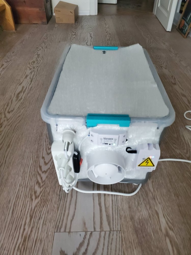 20200727_195149.jpg