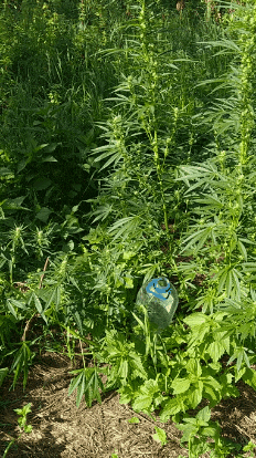 20200831_144301.gif